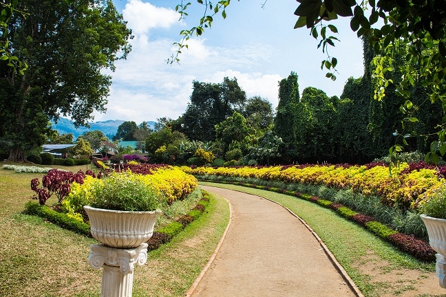 Эта чудесная Шри-Ланка. Февраль 2016