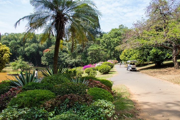 Эта чудесная Шри-Ланка. Февраль 2016