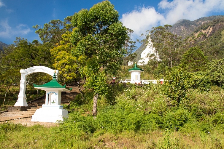 Эта чудесная Шри-Ланка. Февраль 2016