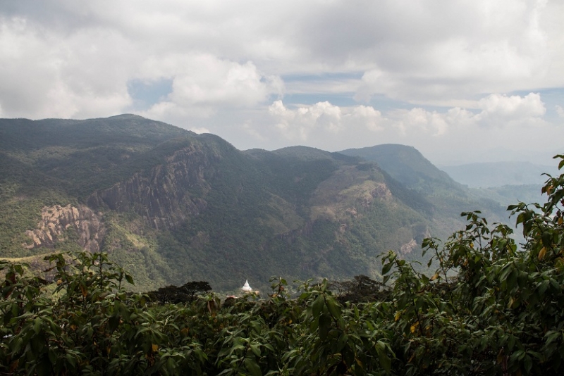 Эта чудесная Шри-Ланка. Февраль 2016