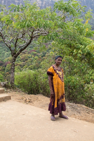 Эта чудесная Шри-Ланка. Февраль 2016