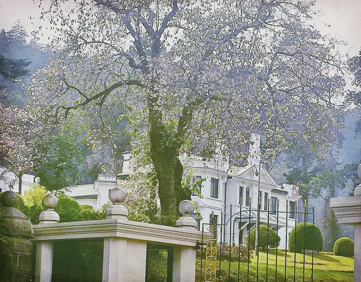 Эта чудесная Шри-Ланка. Февраль 2016