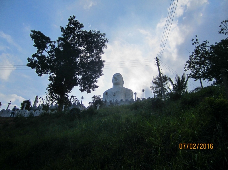 Эта чудесная Шри-Ланка. Февраль 2016