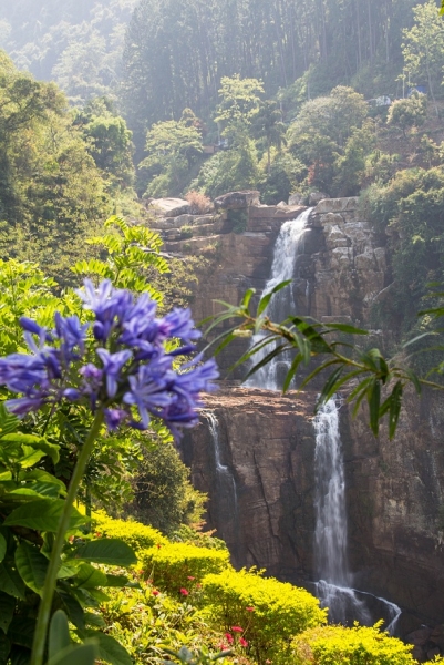 Эта чудесная Шри-Ланка. Февраль 2016