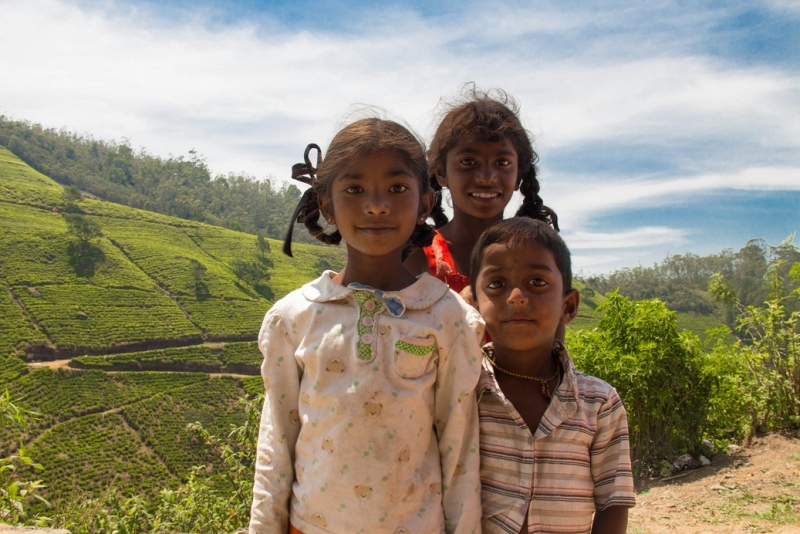 Эта чудесная Шри-Ланка. Февраль 2016