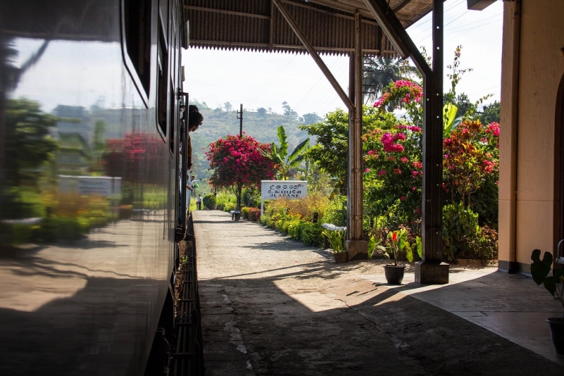 Эта чудесная Шри-Ланка. Февраль 2016