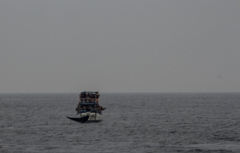 Эта чудесная Шри-Ланка. Февраль 2016