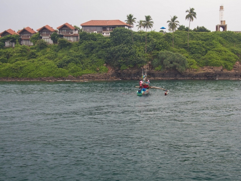 Эта чудесная Шри-Ланка. Февраль 2016