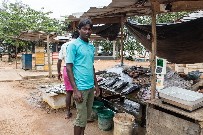 Эта чудесная Шри-Ланка. Февраль 2016