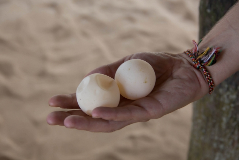 Эта чудесная Шри-Ланка. Февраль 2016