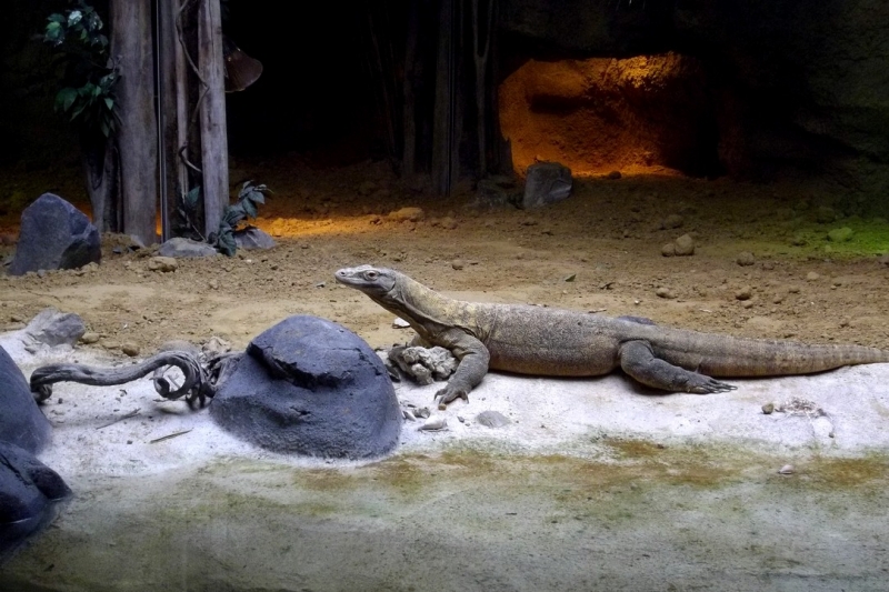 Из провинций в столицу (Нидерланды)