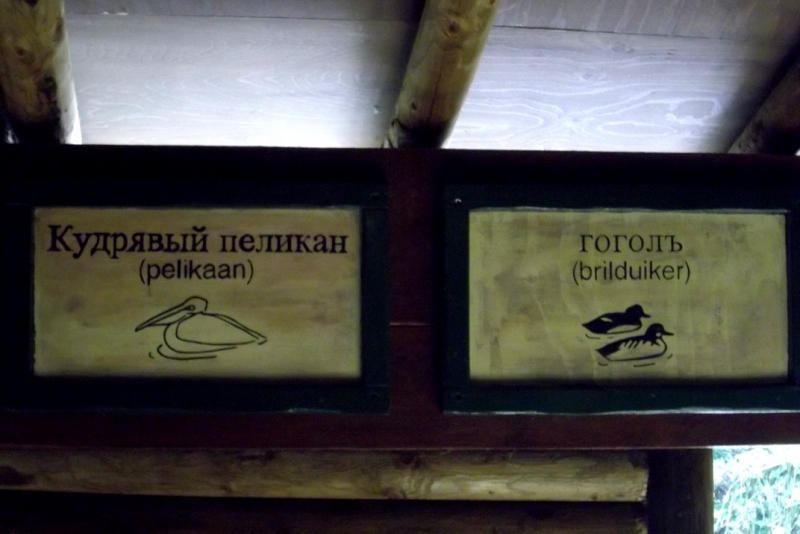 Из провинций в столицу (Нидерланды)