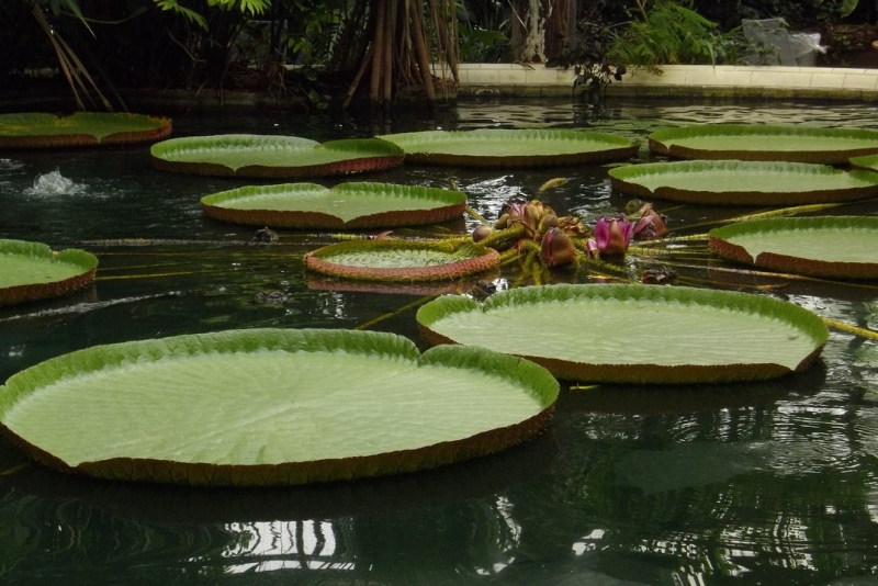 Из провинций в столицу (Нидерланды)