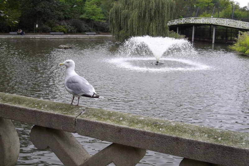 Из провинций в столицу (Нидерланды)