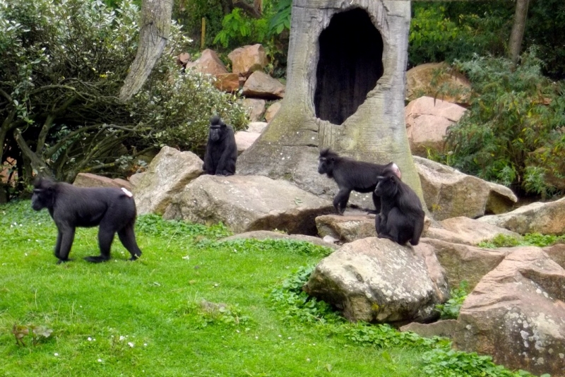Из провинций в столицу (Нидерланды)