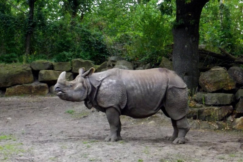 Из провинций в столицу (Нидерланды)