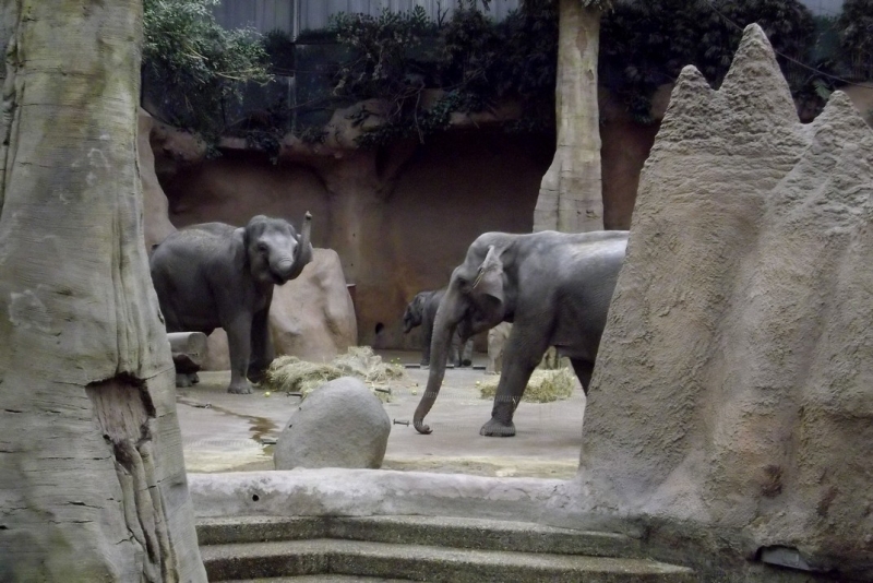 Из провинций в столицу (Нидерланды)