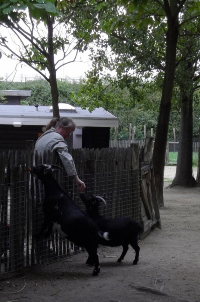 Из провинций в столицу (Нидерланды)