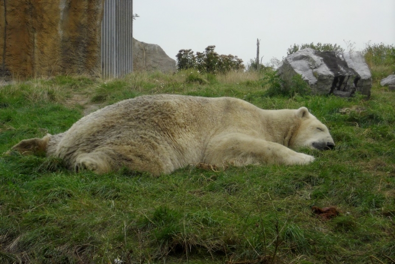 Из провинций в столицу (Нидерланды)