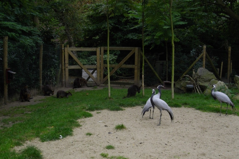 Из провинций в столицу (Нидерланды)