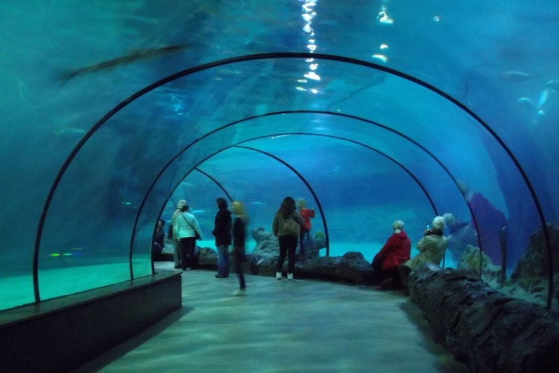 Из провинций в столицу (Нидерланды)