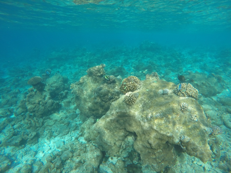 Kamadhoo Island Maldives 2016