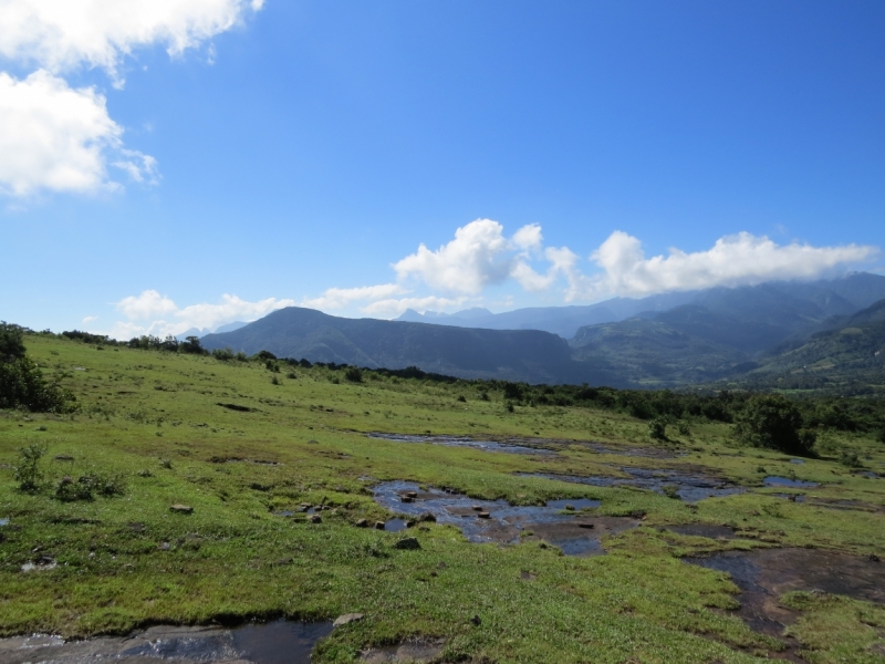 Шри-Ланка в феврале-марте 2016 г. Пляжи и треккинги (нетуристические места).