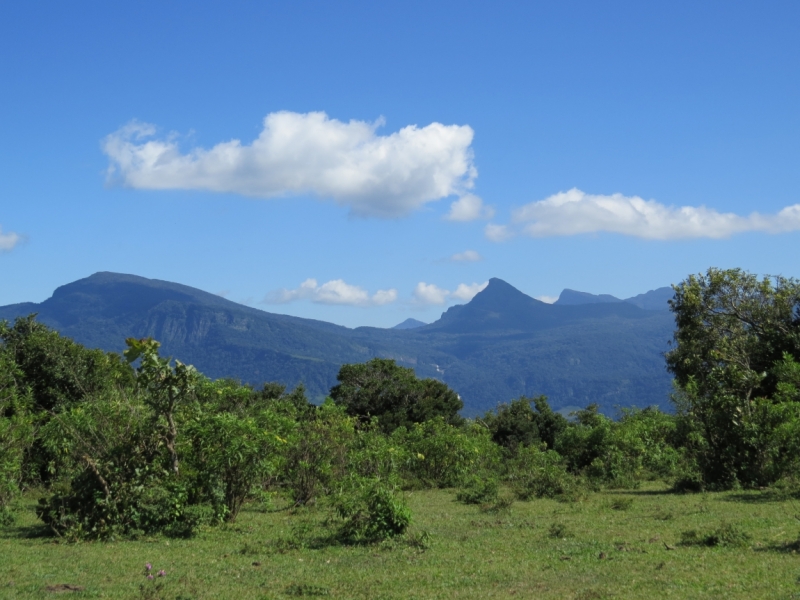 Шри-Ланка в феврале-марте 2016 г. Пляжи и треккинги (нетуристические места).