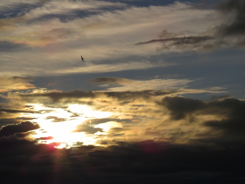 Шри-Ланка в феврале-марте 2016 г. Пляжи и треккинги (нетуристические места).