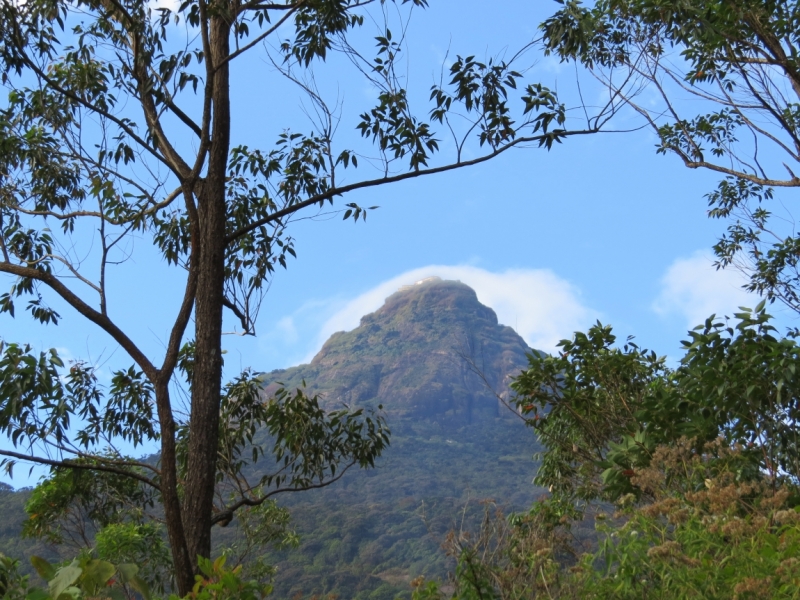 Шри-Ланка в феврале-марте 2016 г. Пляжи и треккинги (нетуристические места).