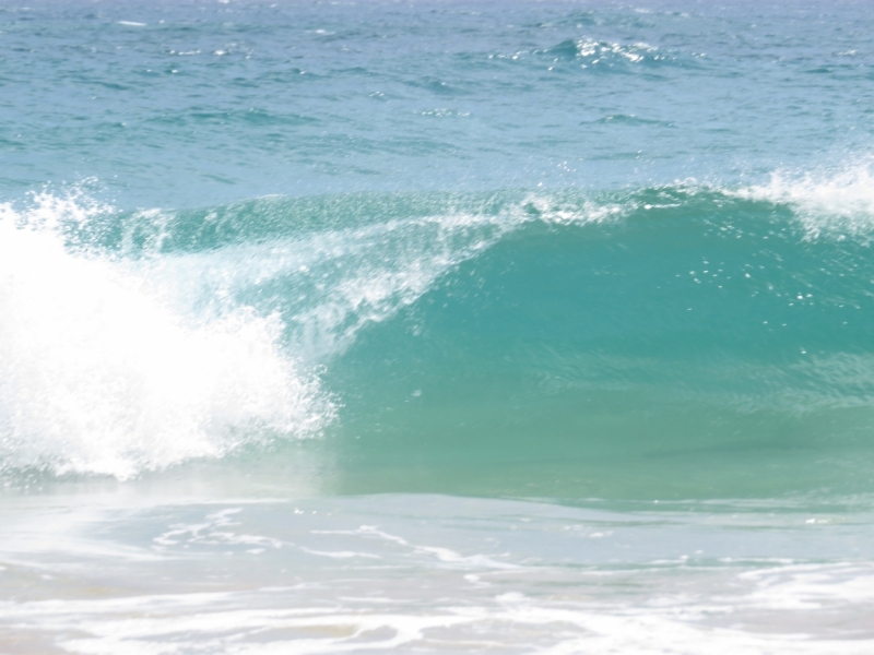 Шри-Ланка в феврале-марте 2016 г. Пляжи и треккинги (нетуристические места).