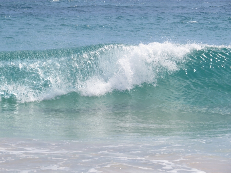 Шри-Ланка в феврале-марте 2016 г. Пляжи и треккинги (нетуристические места).