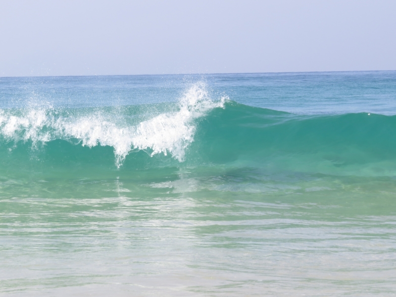 Шри-Ланка в феврале-марте 2016 г. Пляжи и треккинги (нетуристические места).