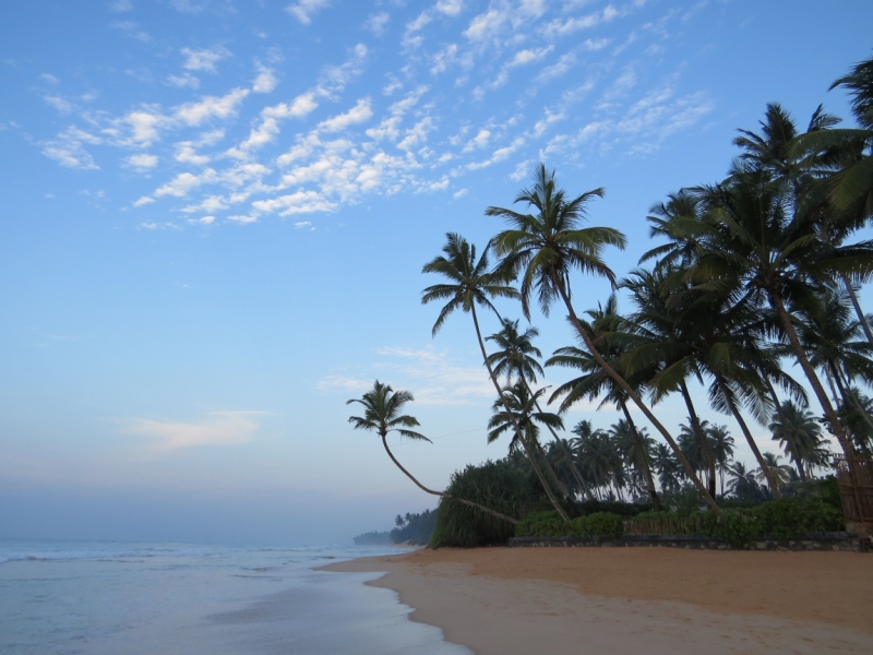 Шри-Ланка в феврале-марте 2016 г. Пляжи и треккинги (нетуристические места).