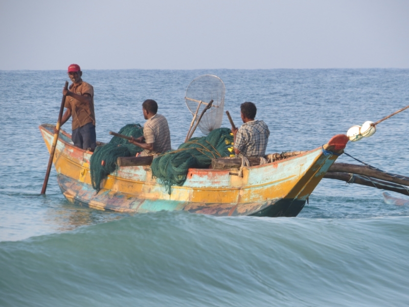 Шри-Ланка в феврале-марте 2016 г. Пляжи и треккинги (нетуристические места).