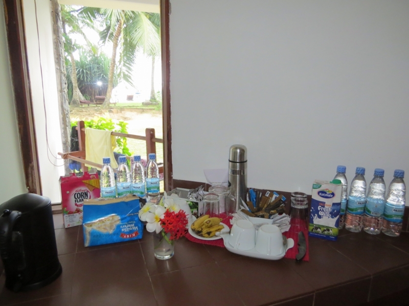 Шри-Ланка в феврале-марте 2016 г. Пляжи и треккинги (нетуристические места).