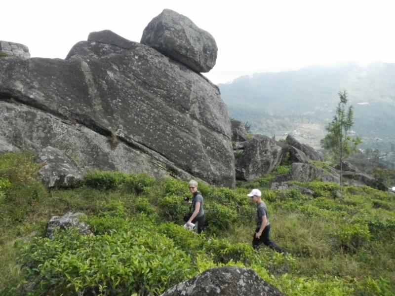 Шри-Ланка в феврале-марте 2016 г. Пляжи и треккинги (нетуристические места).
