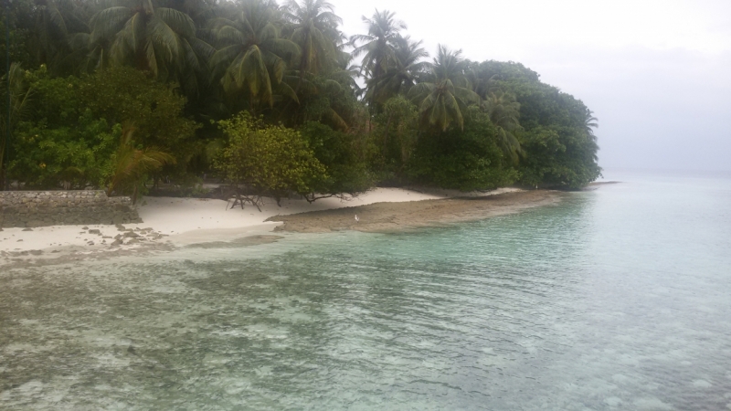 Принял на грудь, скажи что-нибудь! Трезвым вход запрещён!