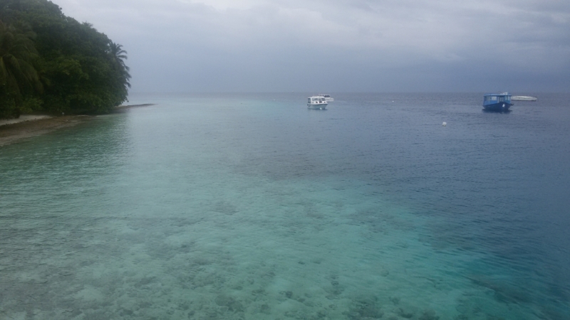 Принял на грудь, скажи что-нибудь! Трезвым вход запрещён!