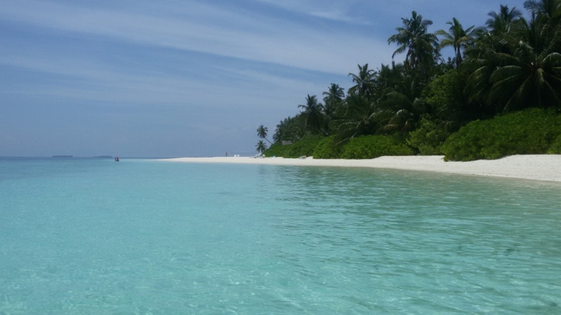 Принял на грудь, скажи что-нибудь! Трезвым вход запрещён!