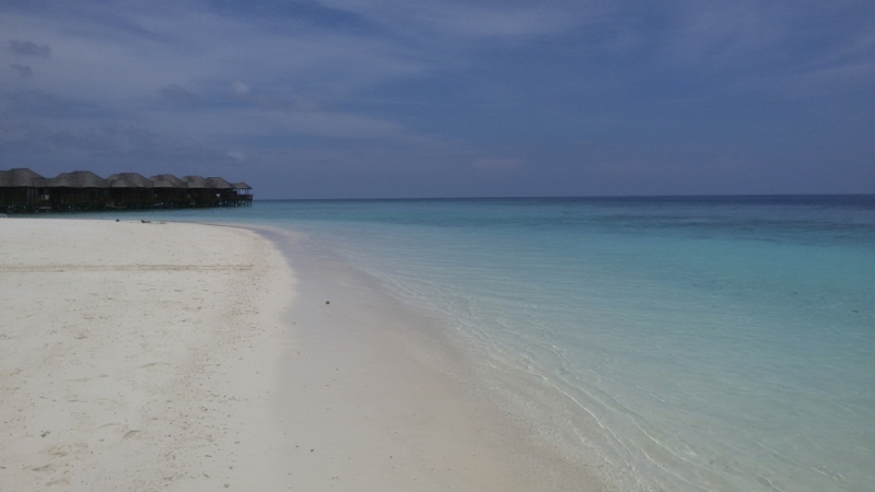 Принял на грудь, скажи что-нибудь! Трезвым вход запрещён!