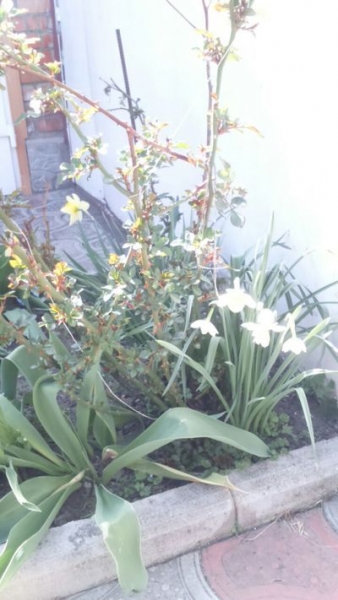 Что посмотреть во Владикавказе и Северной Осетии