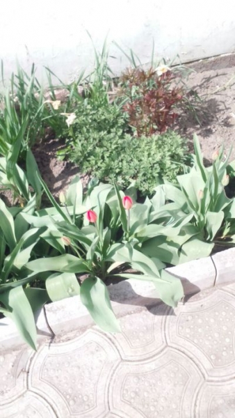 Что посмотреть во Владикавказе и Северной Осетии