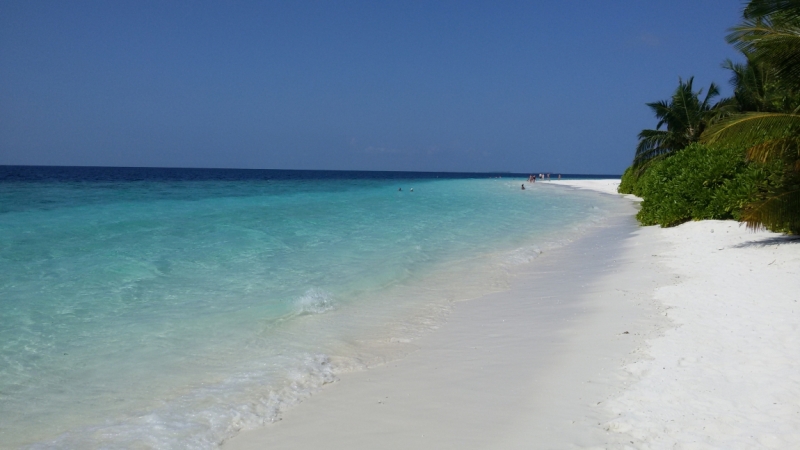 Принял на грудь, скажи что-нибудь! Трезвым вход запрещён!