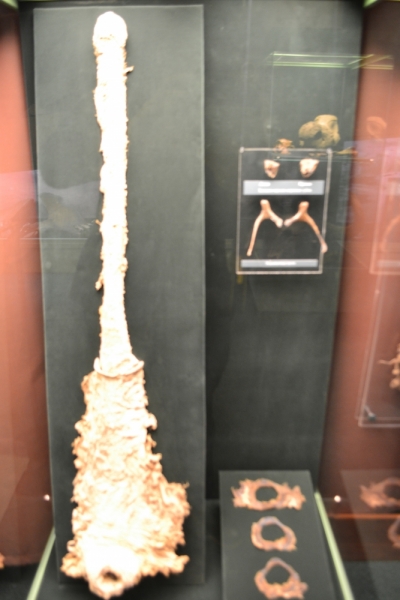 Во глубине сибирских руд - город любви за Полярным кругом