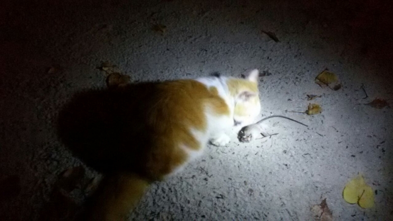 Принял на грудь, скажи что-нибудь! Трезвым вход запрещён!