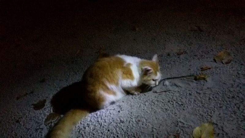 Принял на грудь, скажи что-нибудь! Трезвым вход запрещён!