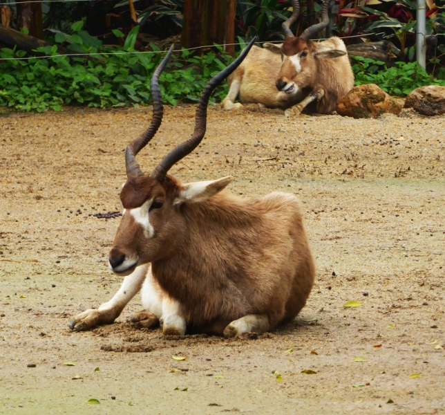 Гуанчжо́у (7 дней) март 2016