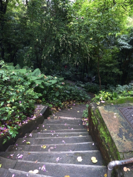 Гуанчжо́у (7 дней) март 2016