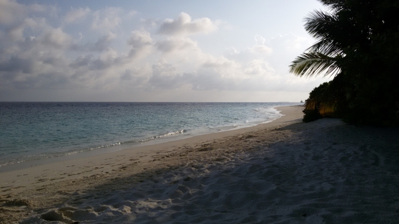 Принял на грудь, скажи что-нибудь! Трезвым вход запрещён!